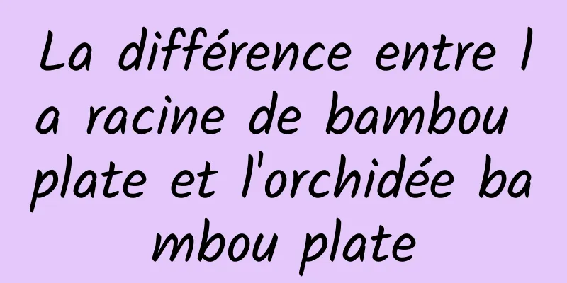 La différence entre la racine de bambou plate et l'orchidée bambou plate