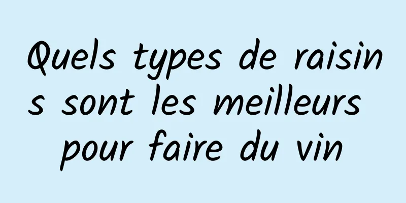 Quels types de raisins sont les meilleurs pour faire du vin