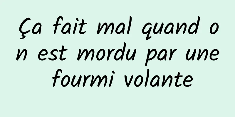 Ça fait mal quand on est mordu par une fourmi volante