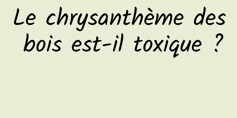 Le chrysanthème des bois est-il toxique ? 