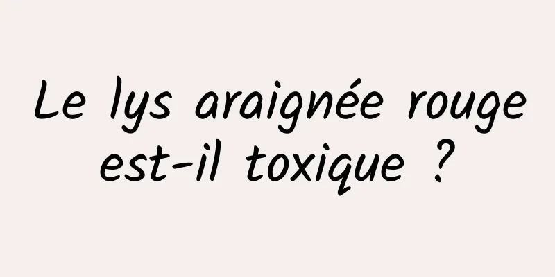 Le lys araignée rouge est-il toxique ? 