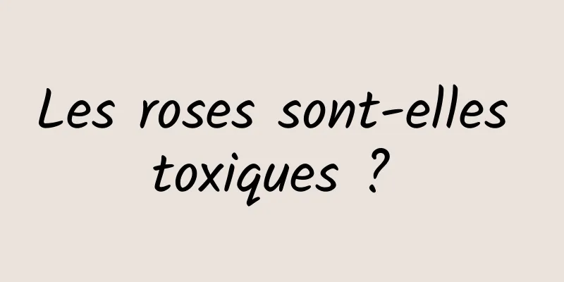 Les roses sont-elles toxiques ? 