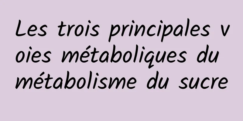 Les trois principales voies métaboliques du métabolisme du sucre