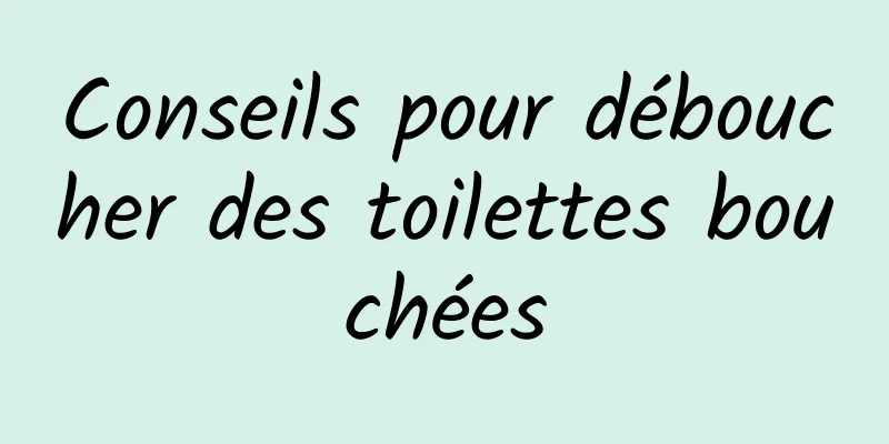 Conseils pour déboucher des toilettes bouchées