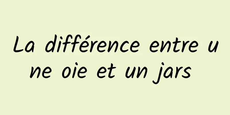 La différence entre une oie et un jars 