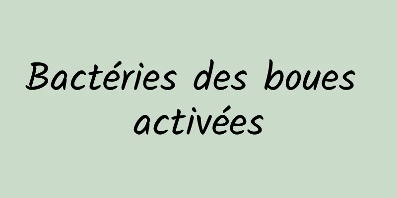 Bactéries des boues activées