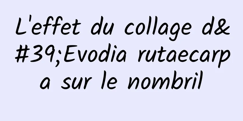 L'effet du collage d'Evodia rutaecarpa sur le nombril