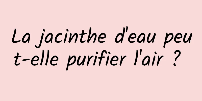 La jacinthe d'eau peut-elle purifier l'air ? 