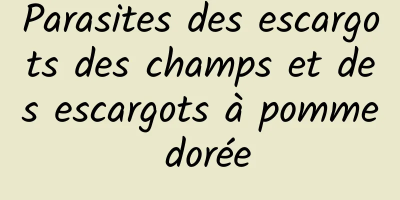 Parasites des escargots des champs et des escargots à pomme dorée