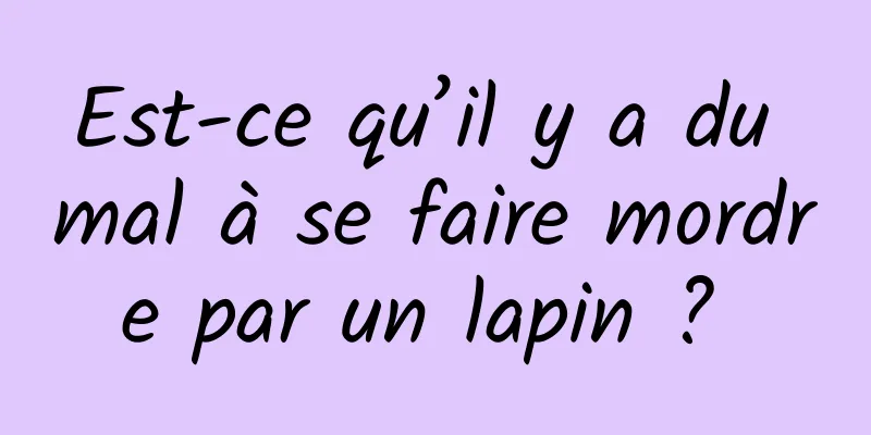 Est-ce qu’il y a du mal à se faire mordre par un lapin ? 