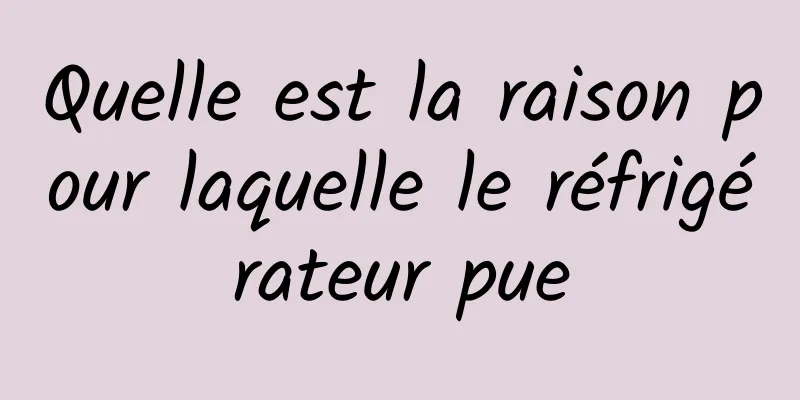 Quelle est la raison pour laquelle le réfrigérateur pue