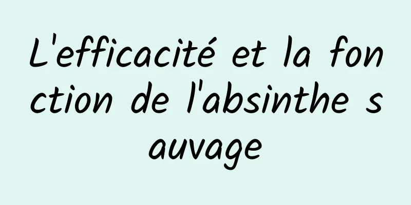 ​L'efficacité et la fonction de l'absinthe sauvage