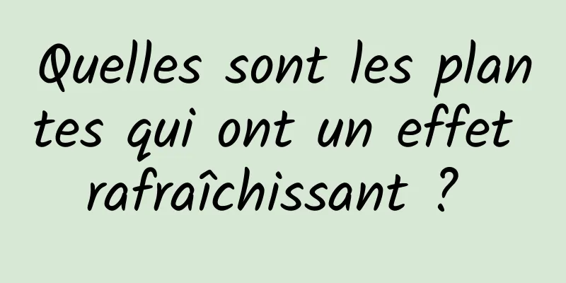 Quelles sont les plantes qui ont un effet rafraîchissant ? 