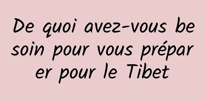 De quoi avez-vous besoin pour vous préparer pour le Tibet