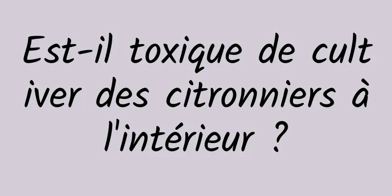 Est-il toxique de cultiver des citronniers à l'intérieur ? 