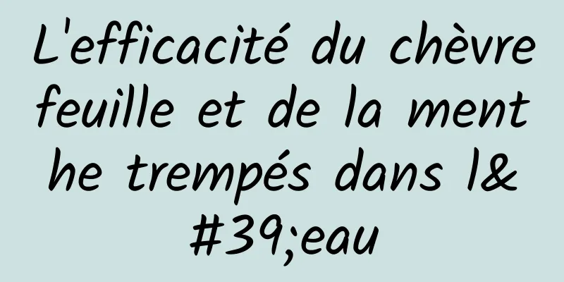 L'efficacité du chèvrefeuille et de la menthe trempés dans l'eau