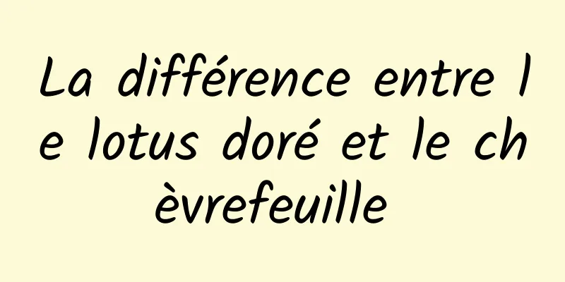 La différence entre le lotus doré et le chèvrefeuille 