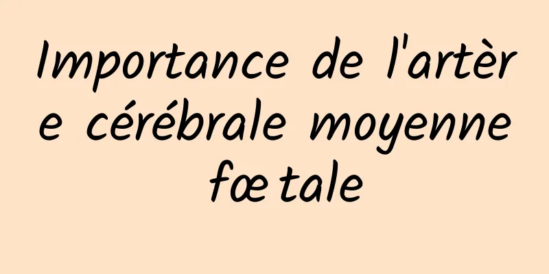 Importance de l'artère cérébrale moyenne fœtale