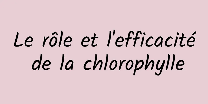 Le rôle et l'efficacité de la chlorophylle