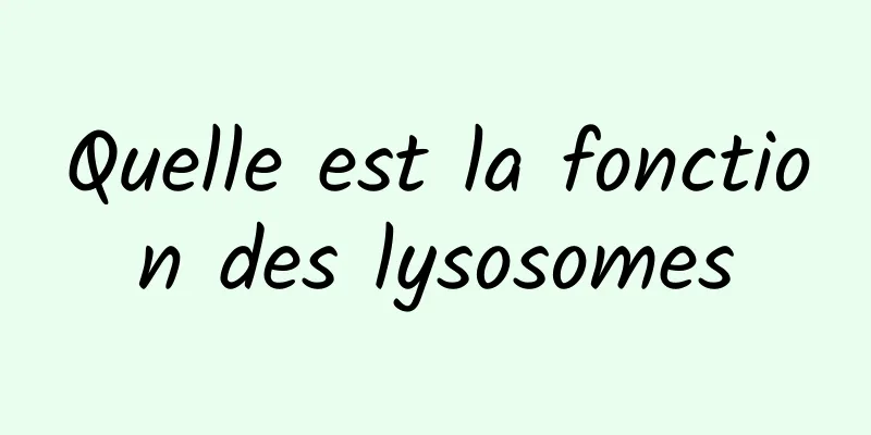 Quelle est la fonction des lysosomes