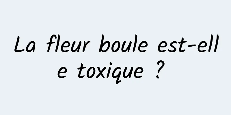 La fleur boule est-elle toxique ? 