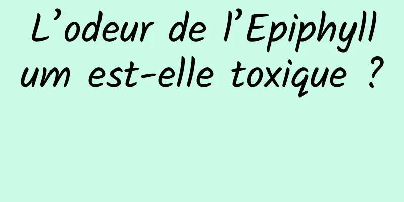 L’odeur de l’Epiphyllum est-elle toxique ? 