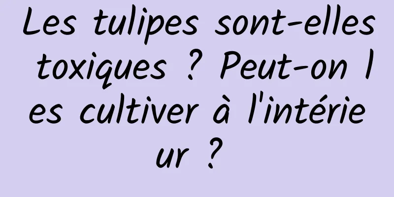 Les tulipes sont-elles toxiques ? Peut-on les cultiver à l'intérieur ? 