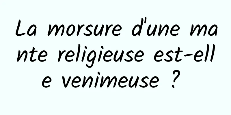 La morsure d'une mante religieuse est-elle venimeuse ? 