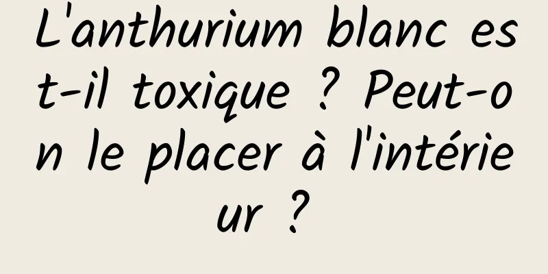 L'anthurium blanc est-il toxique ? Peut-on le placer à l'intérieur ? 