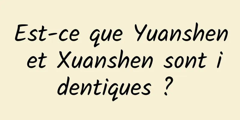 Est-ce que Yuanshen et Xuanshen sont identiques ? 