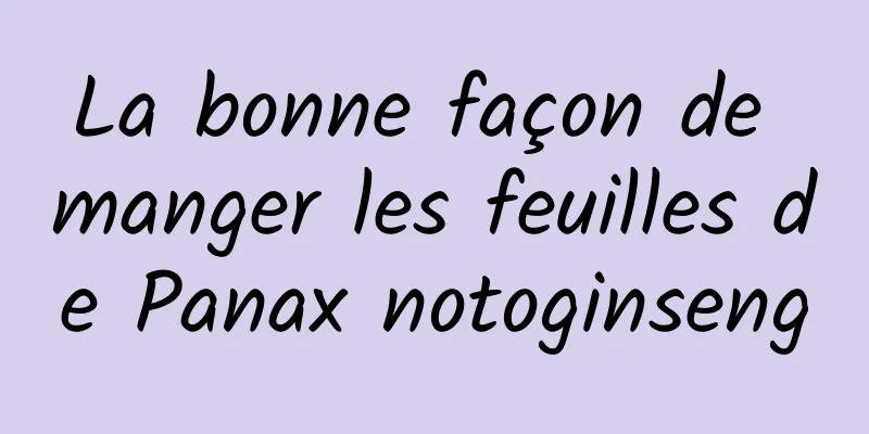 ​La bonne façon de manger les feuilles de Panax notoginseng