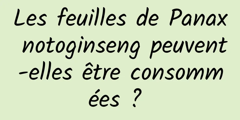 Les feuilles de Panax notoginseng peuvent-elles être consommées ? 