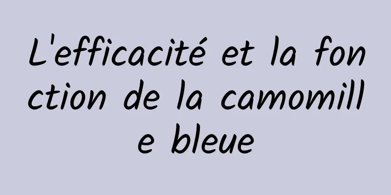 L'efficacité et la fonction de la camomille bleue