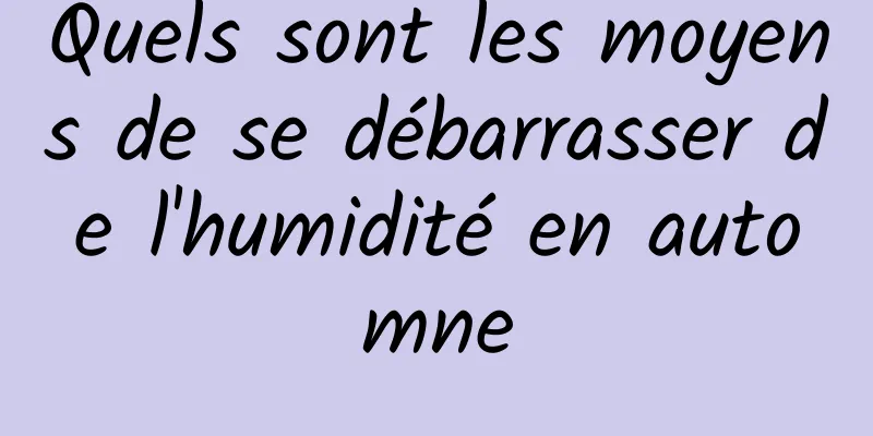 Quels sont les moyens de se débarrasser de l'humidité en automne