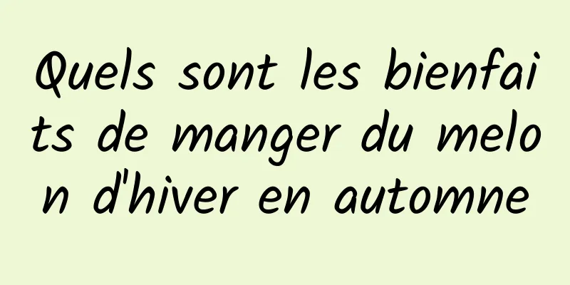 Quels sont les bienfaits de manger du melon d'hiver en automne