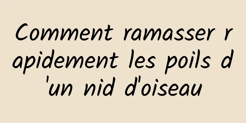 Comment ramasser rapidement les poils d'un nid d'oiseau