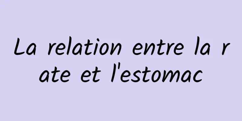 La relation entre la rate et l'estomac