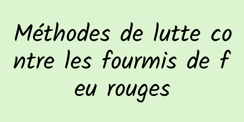 Méthodes de lutte contre les fourmis de feu rouges