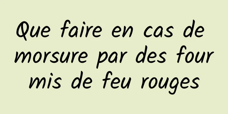 Que faire en cas de morsure par des fourmis de feu rouges