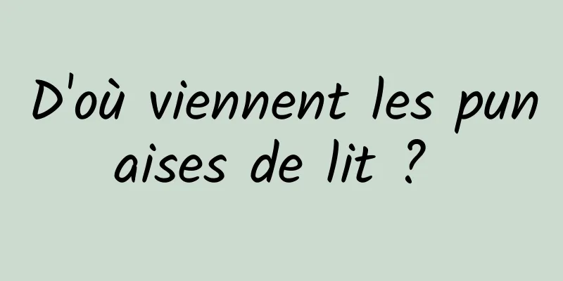 D'où viennent les punaises de lit ? 