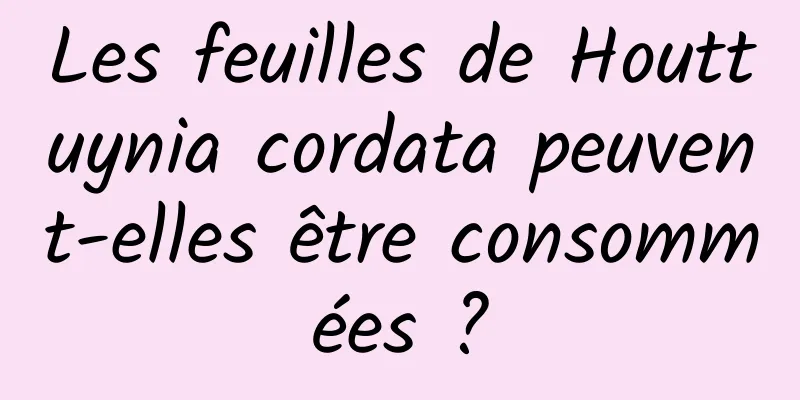 Les feuilles de Houttuynia cordata peuvent-elles être consommées ?