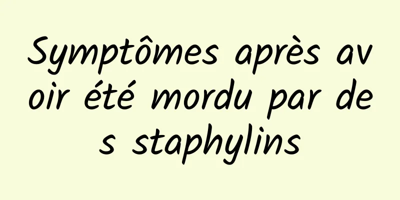 Symptômes après avoir été mordu par des staphylins