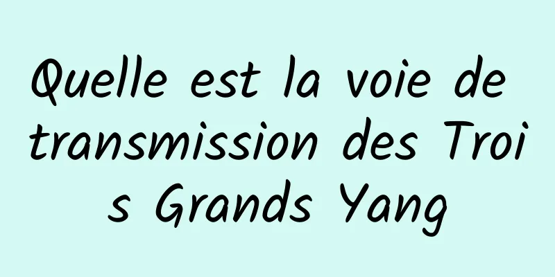 Quelle est la voie de transmission des Trois Grands Yang