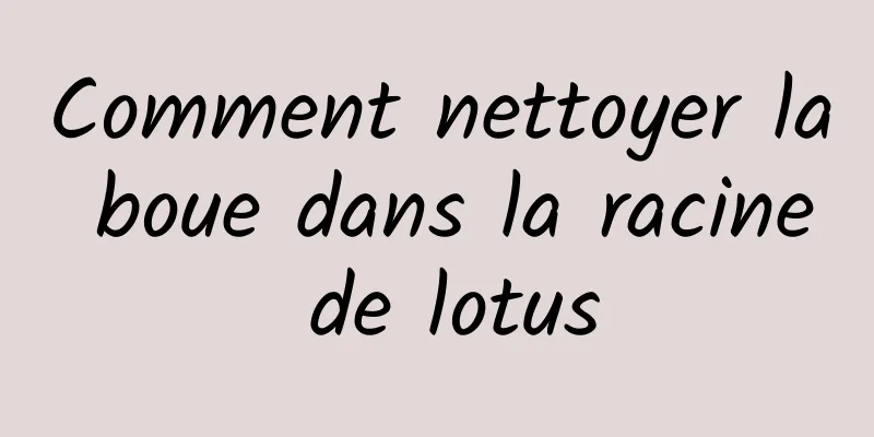 Comment nettoyer la boue dans la racine de lotus