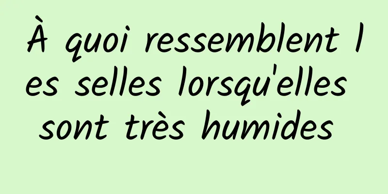 À quoi ressemblent les selles lorsqu'elles sont très humides 