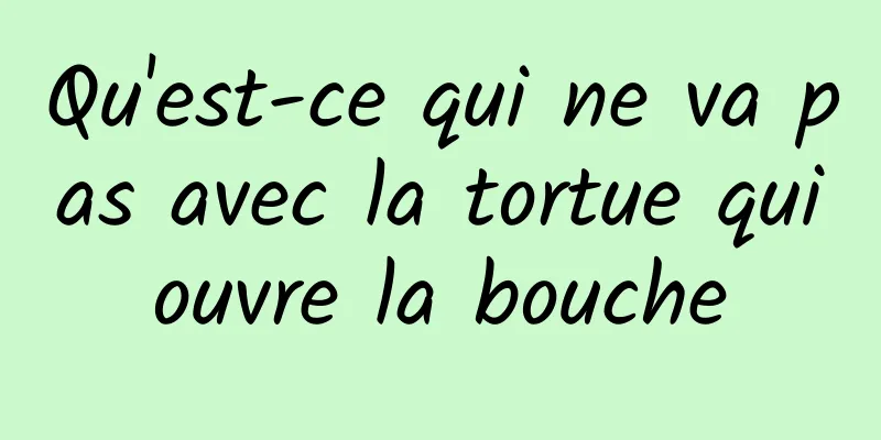 Qu'est-ce qui ne va pas avec la tortue qui ouvre la bouche 