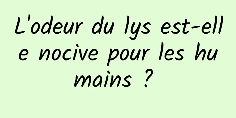 L'odeur du lys est-elle nocive pour les humains ? 