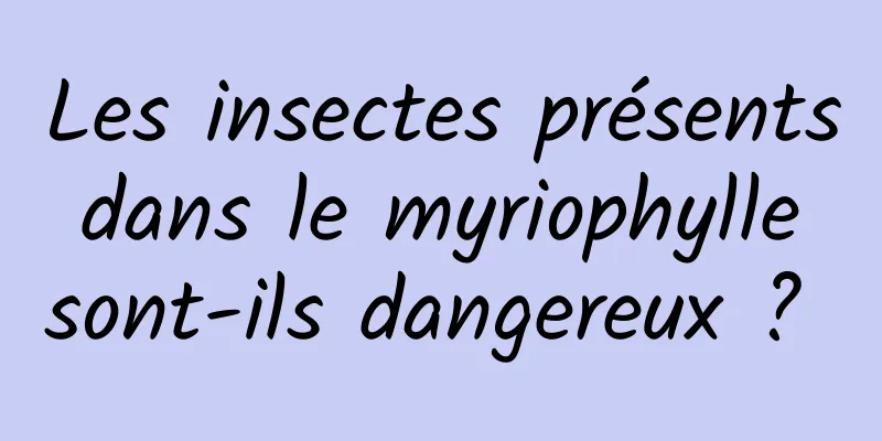 Les insectes présents dans le myriophylle sont-ils dangereux ? 