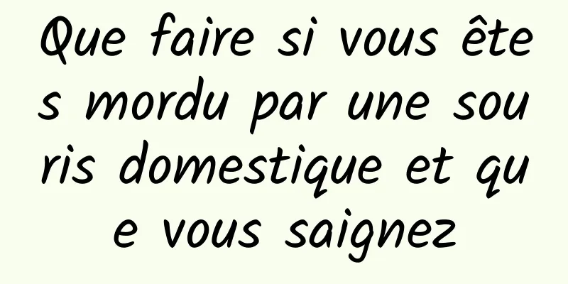 Que faire si vous êtes mordu par une souris domestique et que vous saignez