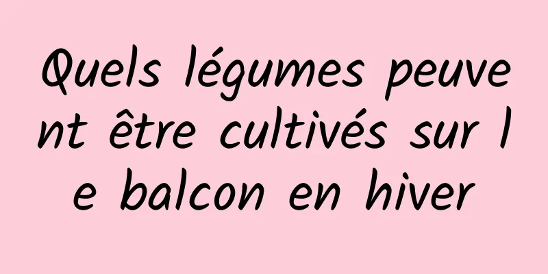 Quels légumes peuvent être cultivés sur le balcon en hiver